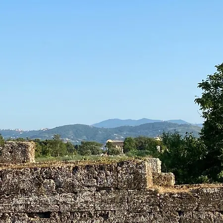 Paestum Suite