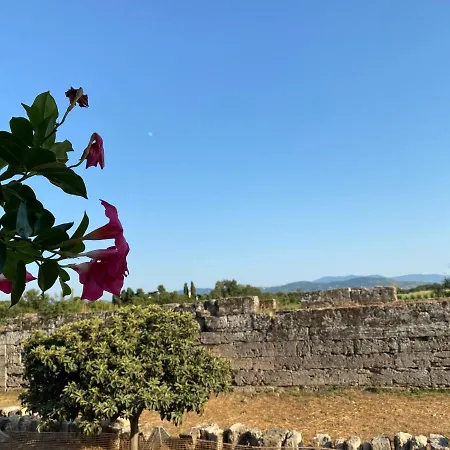 לינה וארוחת בוקר Paestum Suite